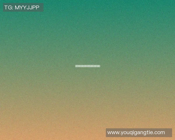 史鸿飞的传奇人生与奋斗历程探寻之旅