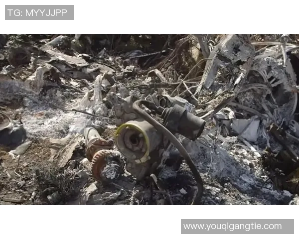 篮球明星坠机事件引发热议视频曝光背后真相令人震惊